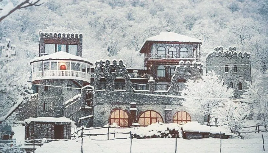 შატო მერე — ფოტო 23