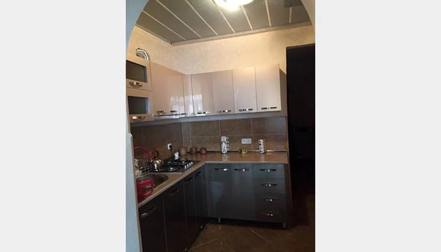 Borjomi Apartment — Photo 6