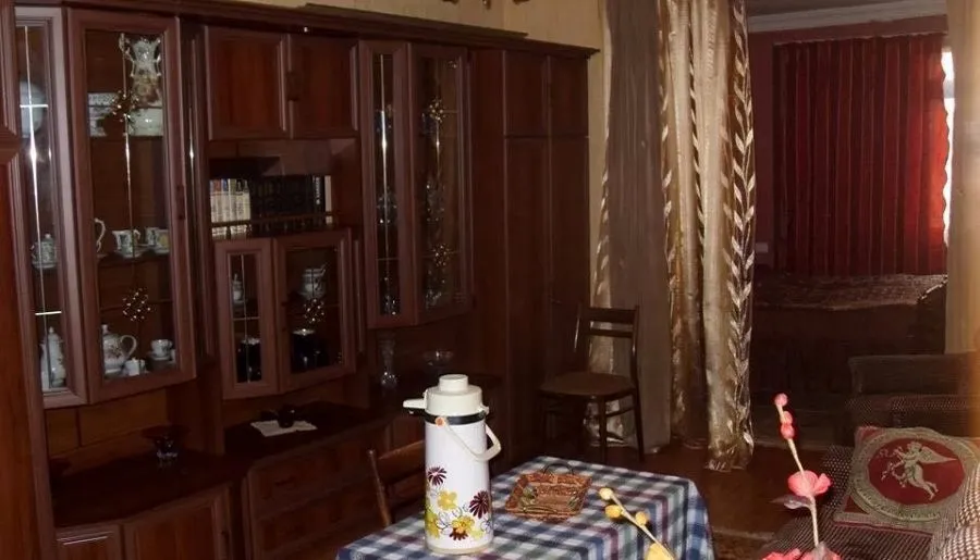 Borjomi Apartment — Photo 3