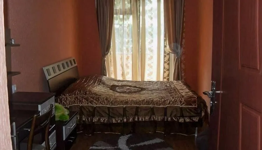 Borjomi Apartment — Photo 7