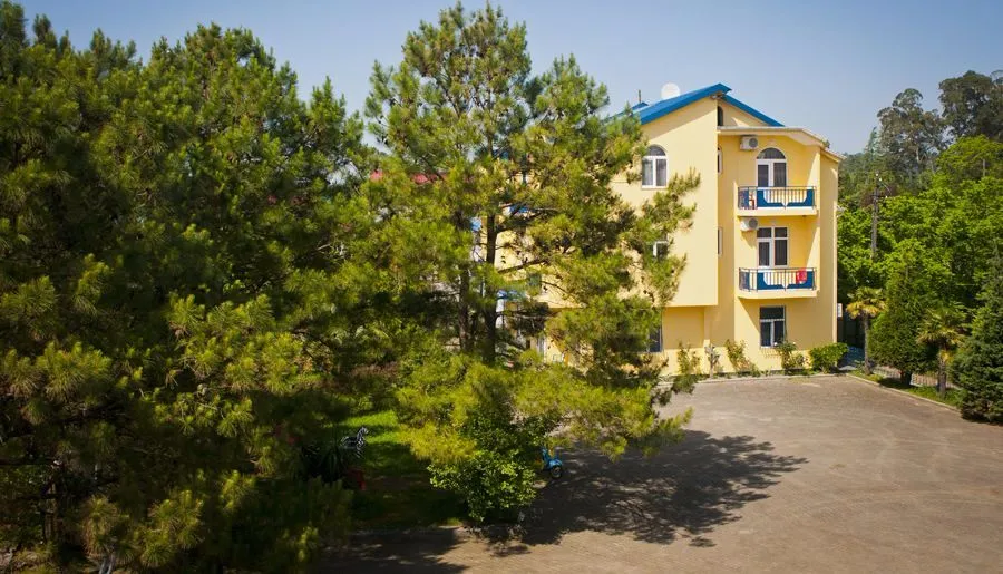 პალმა — ფოტო 3