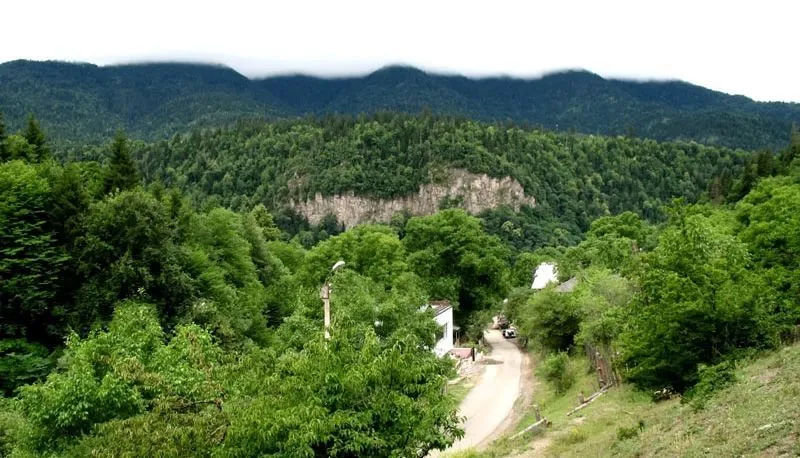 ეკო კოტეჯები — ფოტო 5
