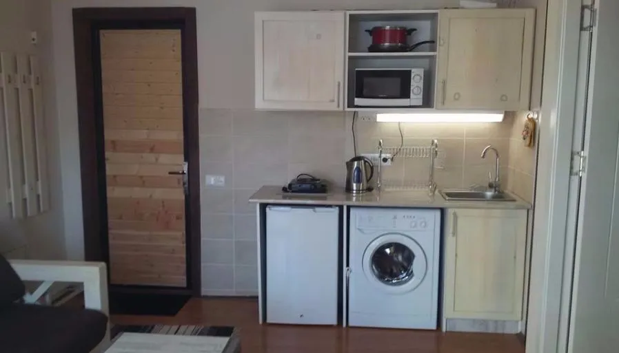 Teas Apartment in Mgzavrebi Bakuriani — Photo 6