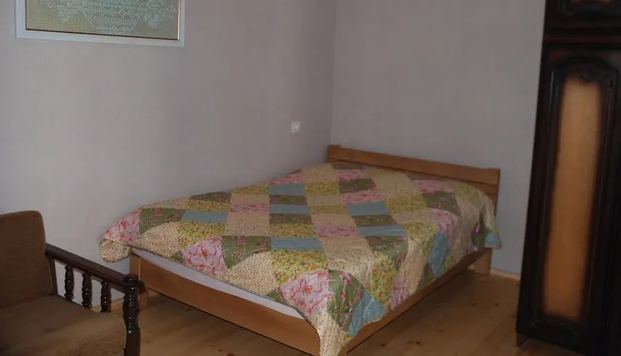 Borjomi Central Park Apartment 2 — Photo 5