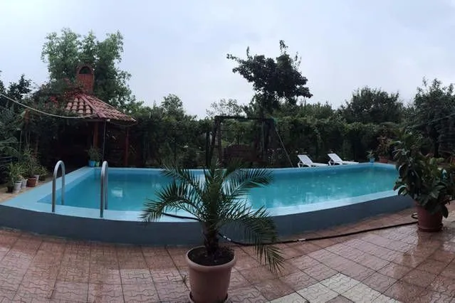 Wine Garden — Photo 11