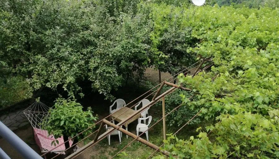 Guesthouse Irma — Photo 17