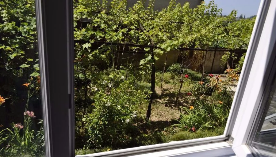 Nature house — Photo 14
