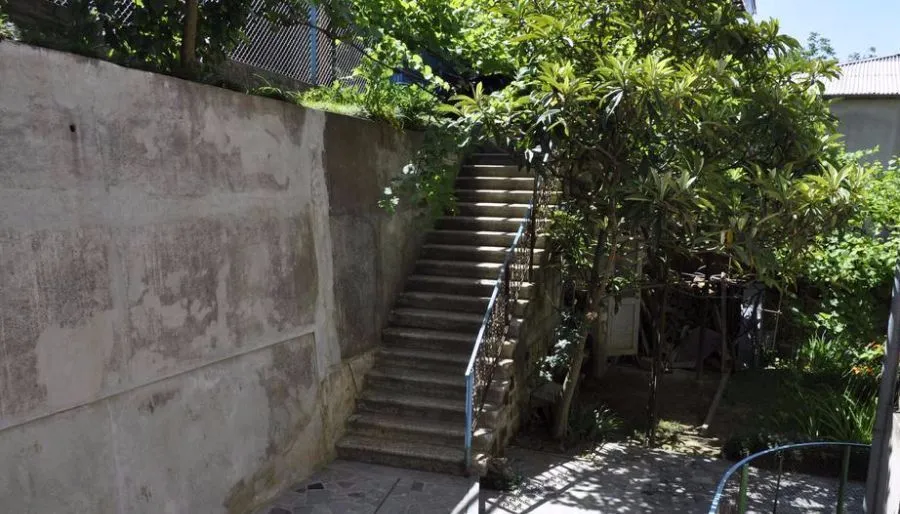 Nature house — Photo 1