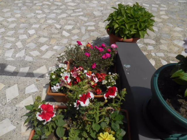 ლილუ — ფოტო 43