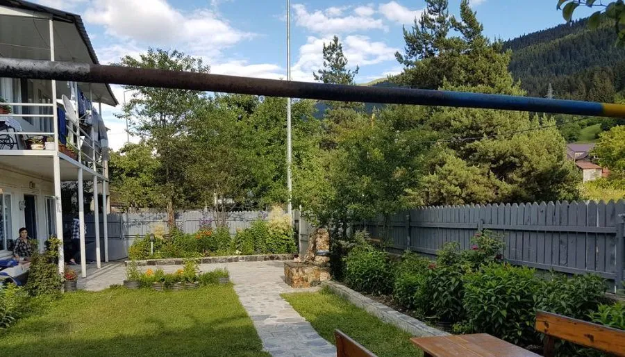 Zoia — Photo 5