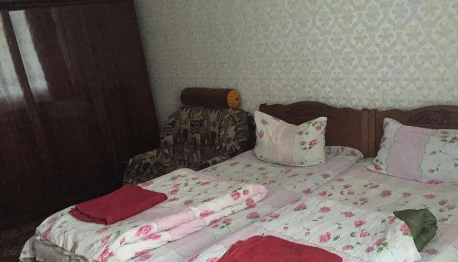 Qetino Marsagishvili Guest House — Photo 23