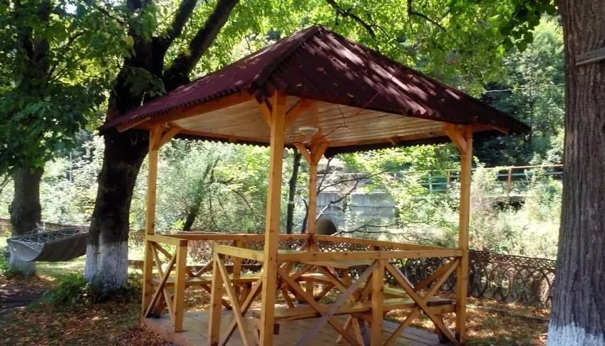 კაპა — ფოტო 29