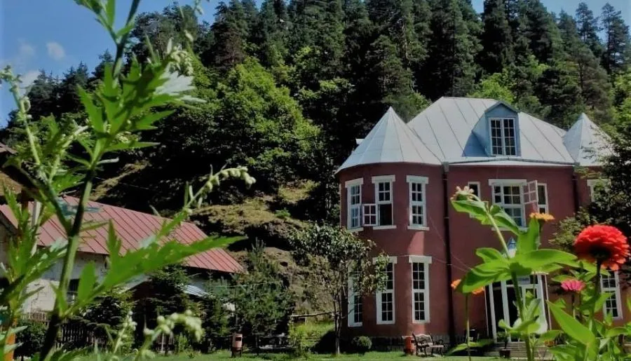 კაპა — ფოტო 40