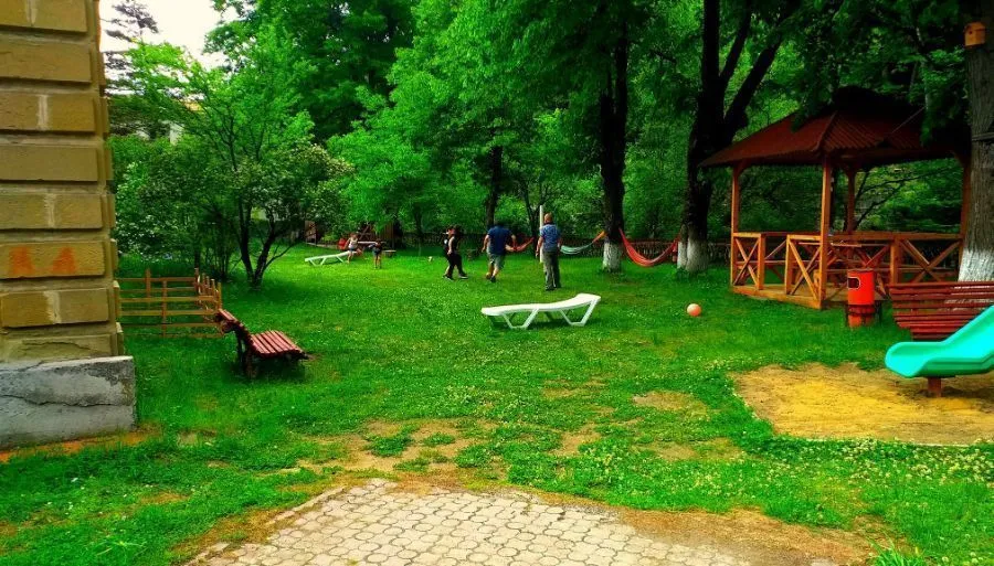 კაპა — ფოტო 30