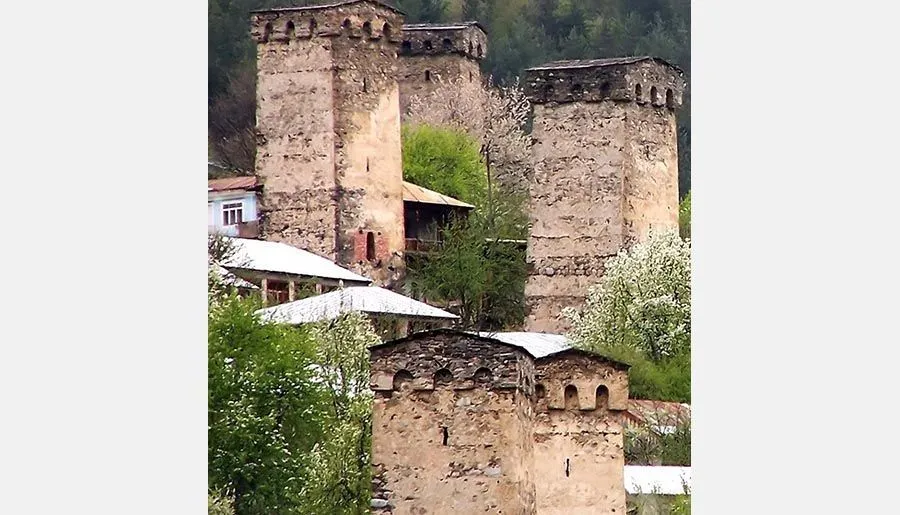 სახლი მესტიაში — ფოტო 14
