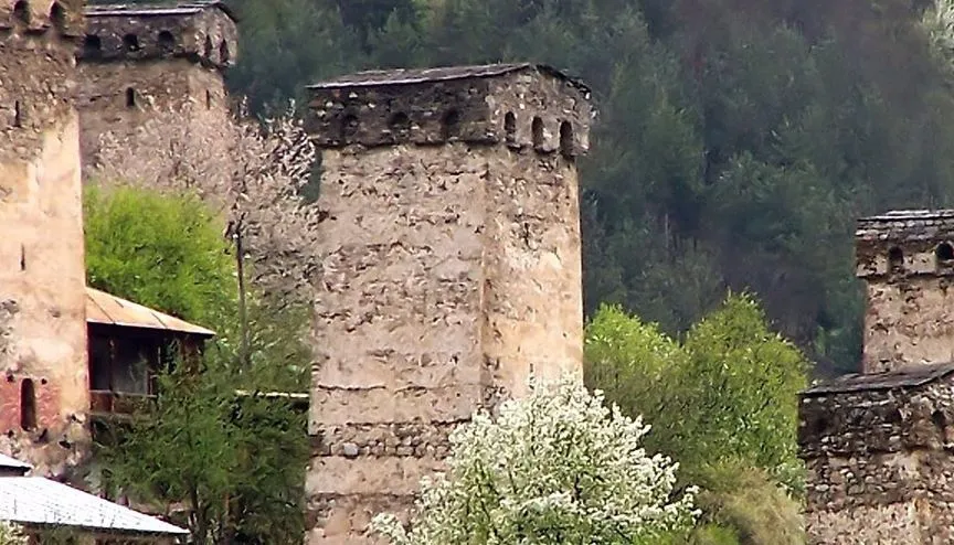 სახლი მესტიაში — ფოტო 12