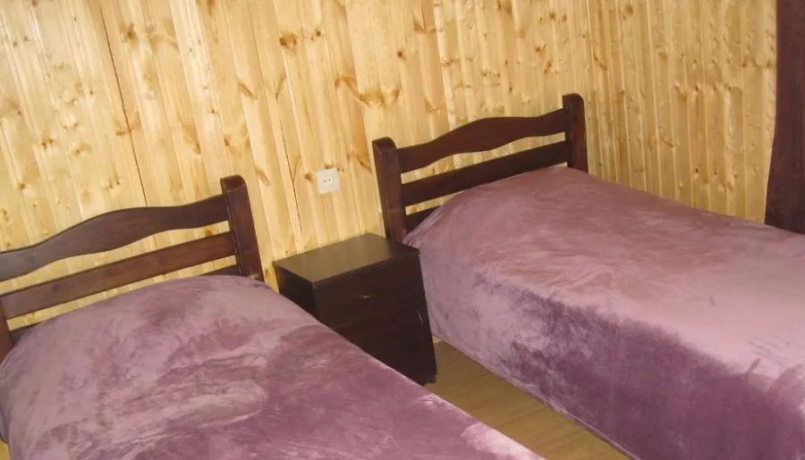 Shatili Guesthouse-Mziani — Photo 19