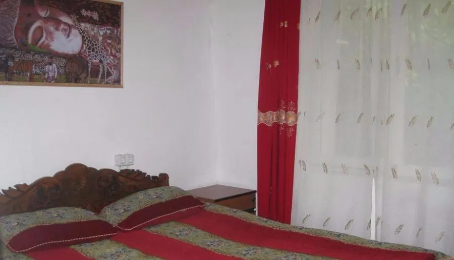 Shatili Guesthouse-Mziani — Photo 22