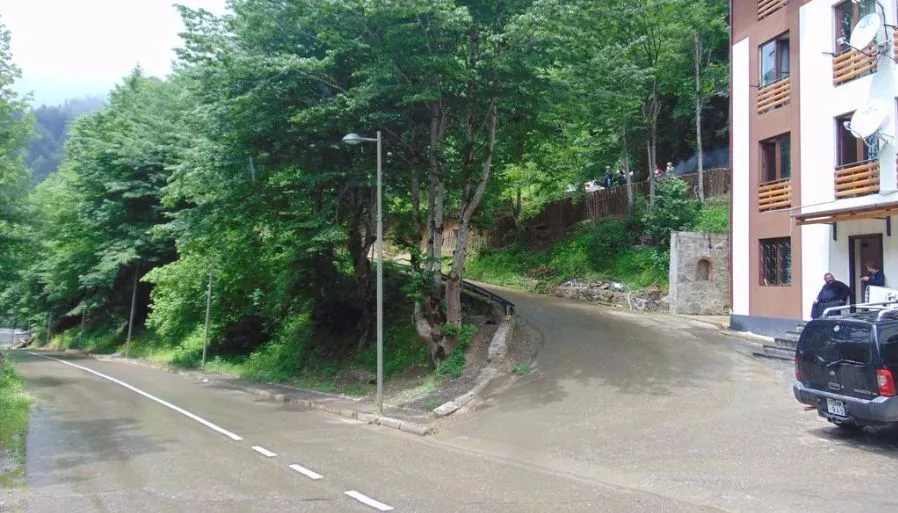 მაია — ფოტო 9
