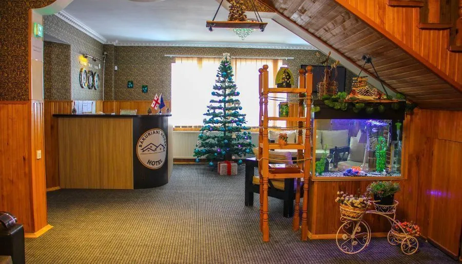 Bakuriani House — Photo 10