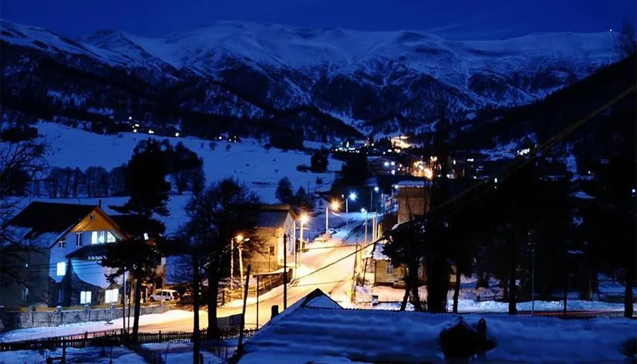 Bakuriani House — Photo 31