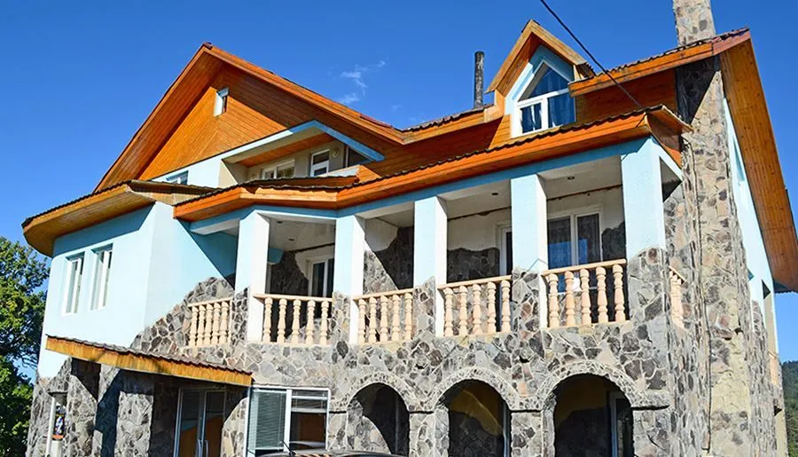 Bakuriani House — Photo 35