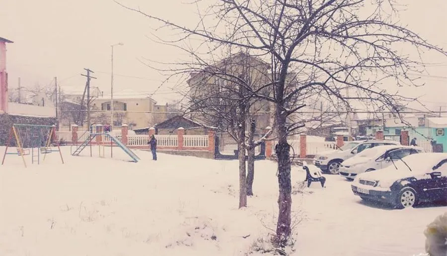 სანდრო პაპა — ფოტო 11