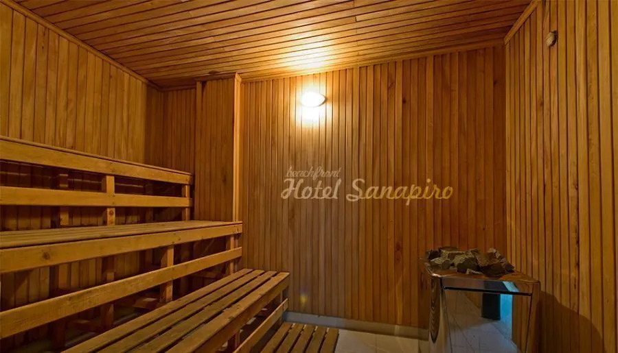 SANAPIRO — Photo 20