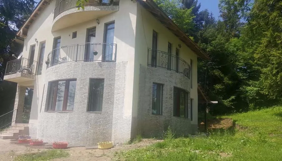 PANORAMA BAKURIANI — Photo 10
