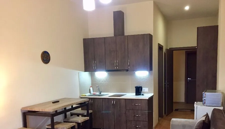 New Gudauri 2, Apt 110 — Photo 9