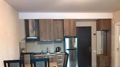 Bakuriani Residence Apt 25 — Photo 6