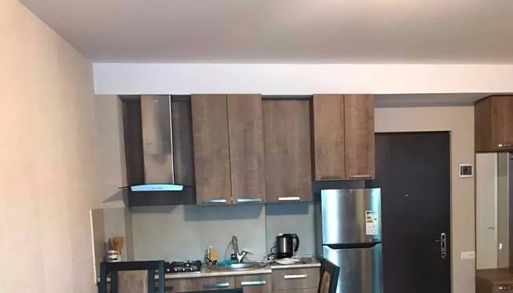 Bakuriani Residence Apt 25 — Photo 10