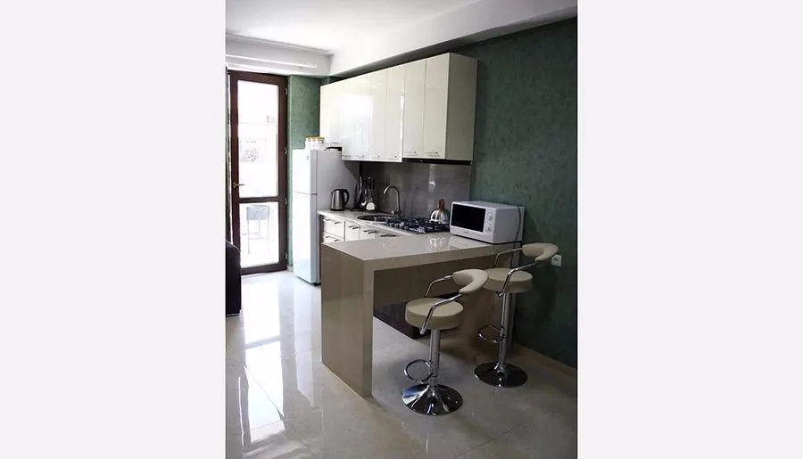Bakuriani Residence Apt 127 — Photo 7
