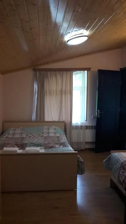 ედელვეისი — ფოტო 50