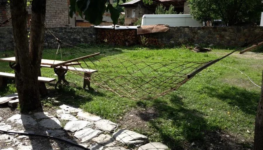 ედელვეისი — ფოტო 28