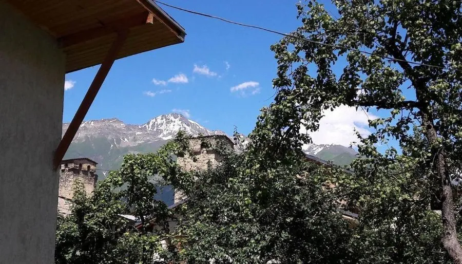 ედელვეისი — ფოტო 6