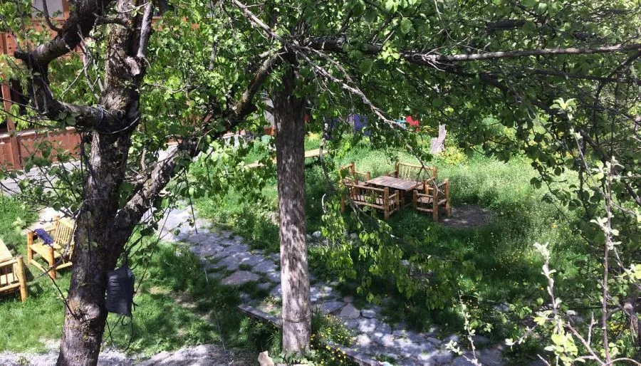 ედელვეისი — ფოტო 23