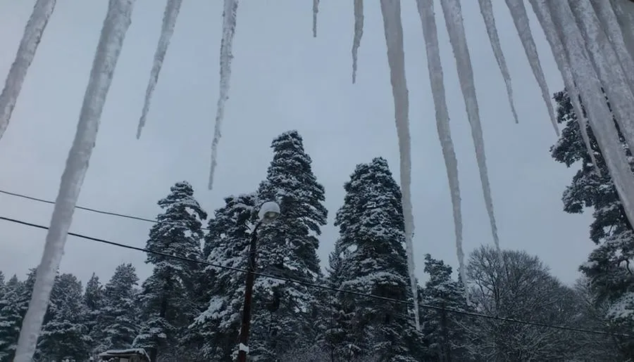 ბარლეონი — ფოტო 13