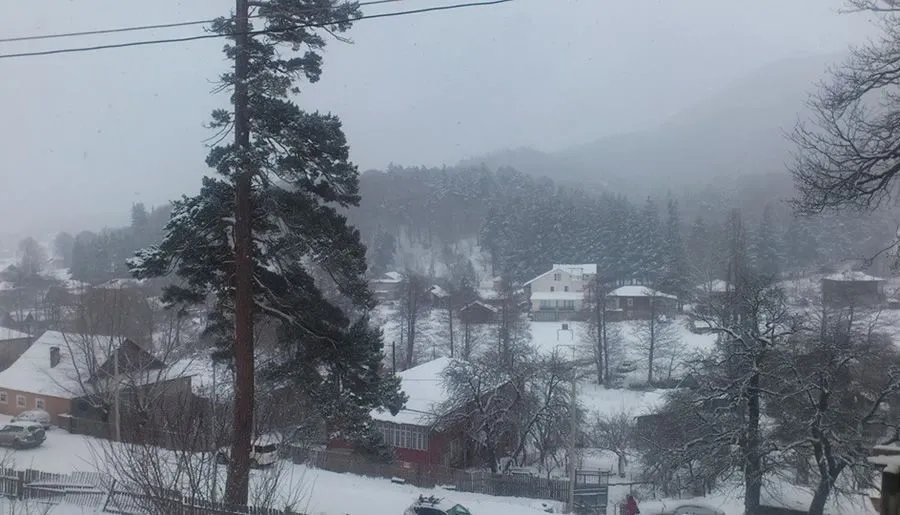 ბარლეონი — ფოტო 21