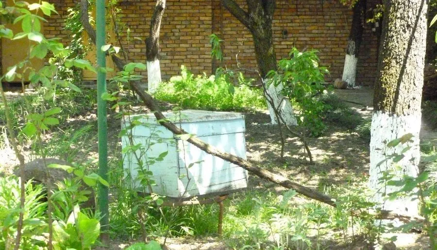 Guest House Gurjaani — Photo 6