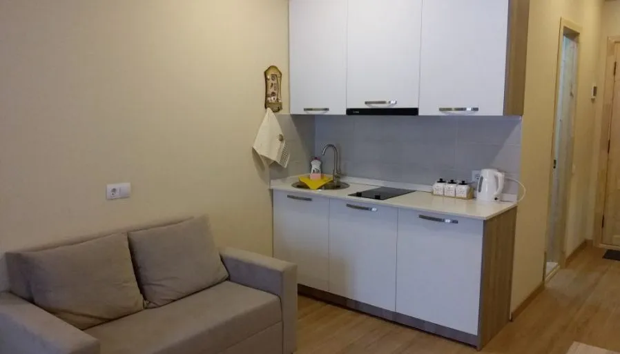 The Valley Residences & Spa Bakuriani — Photo 28