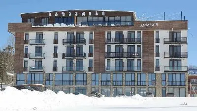 Mgzavrebi Bakuriani Apartment 319 — Photo 9