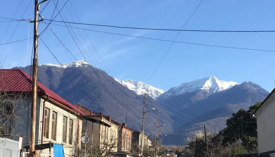 ლუდვიდ გესთჰაუს ლაგოდეხი — ფოტო 20